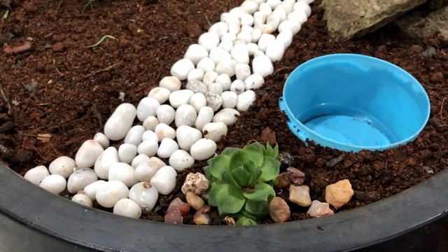 Miniature Garden Tutorial: How to Make Miniature Garden for Beginners смотреть онлайн