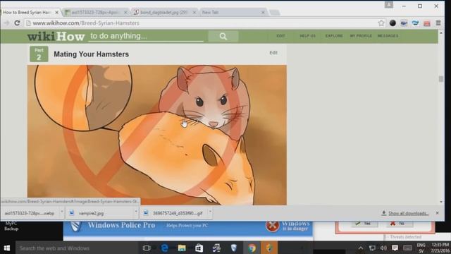 [Vinesauce] Joel - Windows 10 Destruction смотреть онлайн