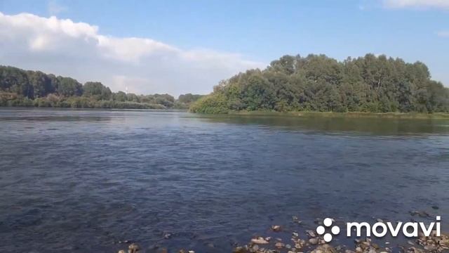 Поймали щуку.Рыбалка.Река Кондома-приток Томи. Новокузнецк .Отдых. смотреть онлайн