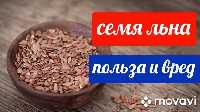 Польза и вред семян льна. смотреть онлайн