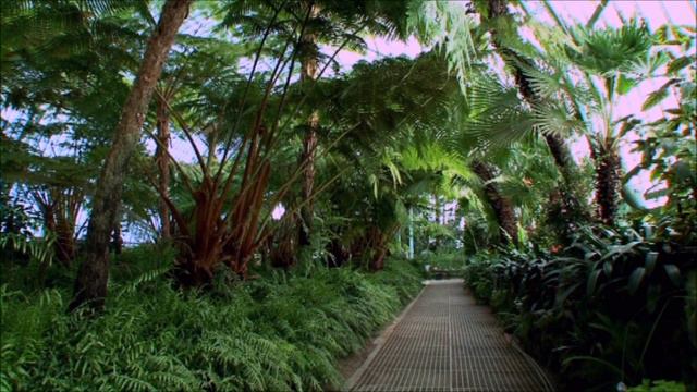 Documentaire sur les Serres Royales de Laeken Part 1 смотреть онлайн