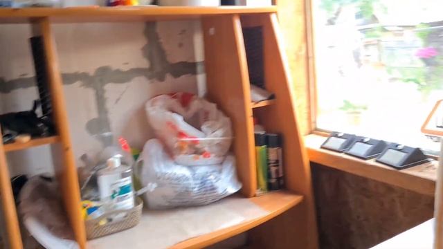 Наконец то сделала прическу. Петух обезножил. Пчелиное гнездо с голову. Привожу порядок в теплице. смотреть онлайн