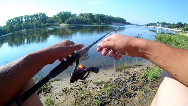 Ловля БЕЛОЙ РЫБЫ на тухлую ракушку ЗАКИДУШКОЙ смотреть онлайн