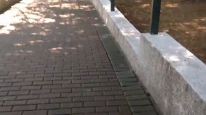 Обзор пансионата Изумруд