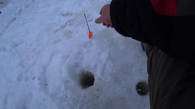 Ловля щуки на жерлицы-удачно я попал! смотреть онлайн