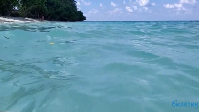Остров Тодду, Мальдивы: море и пляжи. смотреть онлайн