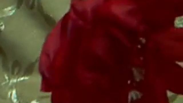 Эпифиллум- кактус леснои 5 день цветения как заставить цвести кактус смотреть онлайн