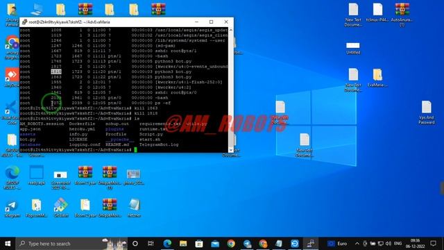 Deploy EvaMaria Bot On VPS ⚡ Telegram EvaMaria Bot How To Host Your EvaMaria Bot 24/7 On AMROBOT смотреть онлайн