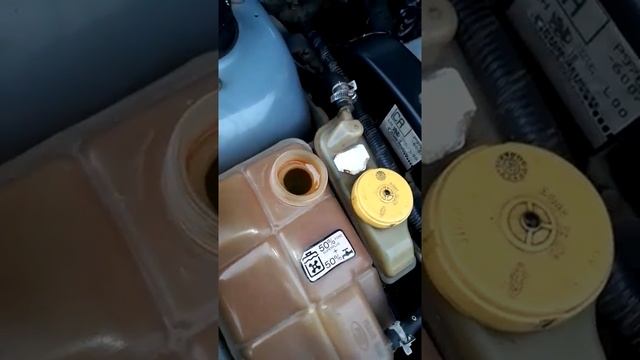 temperatura Ford escort zetec(1) смотреть онлайн