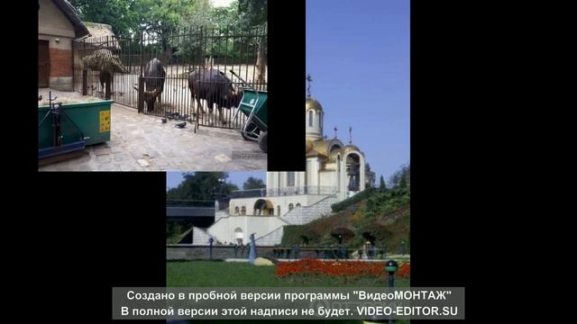Зоопарк на ДМЗ — В Донецке ! смотреть онлайн