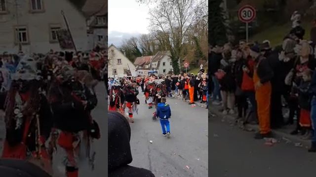 Fasching_2020 / Bad Wimpfen / Фашинг в Германии / Масленица по немецки