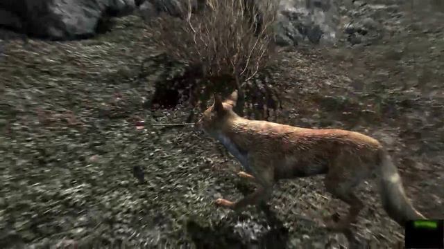Skyrim - Microphone Test (what does the fox say?) смотреть онлайн