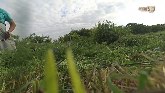 Заготовка сена мотокосой. Mow the grass forage смотреть онлайн