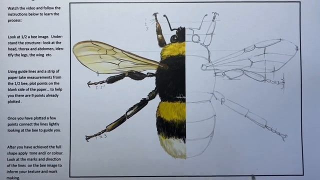 Drawing Proportion Symmetry Plotting смотреть онлайн
