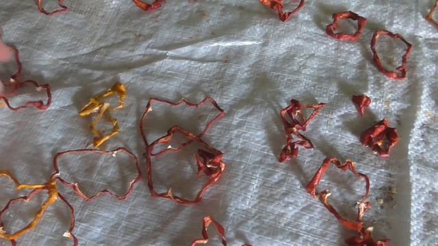 Простой способ сушки сладкого болгарского и острого перца Чили. смотреть онлайн