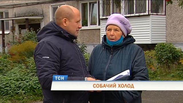 Собачий холод смотреть онлайн