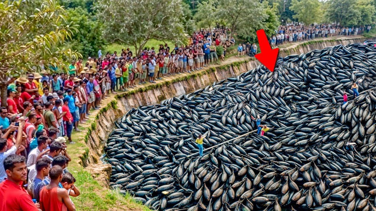 Случаи в Природе Один на Миллион смотреть онлайн