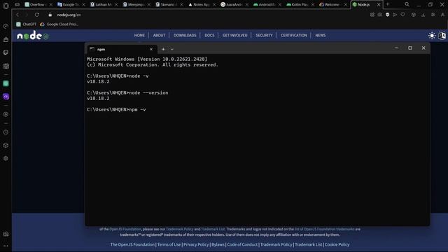 Cara Install NodeJS di Windows dan Linux (Kali Linux/Debian/Ubuntu) смотреть онлайн