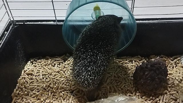 Подготовка к лету🥰