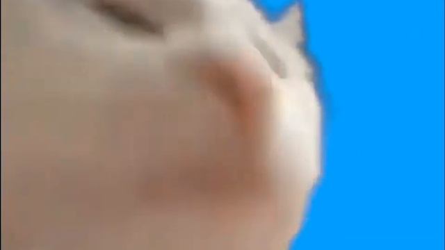 ПЕСНЯ ПРО БИТБОКС НО ЭТО НИЗКИЙ ЗАРЯД ?