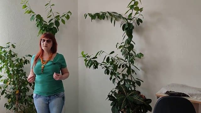 Взрослый сын не работает как заставить и что делать. смотреть онлайн