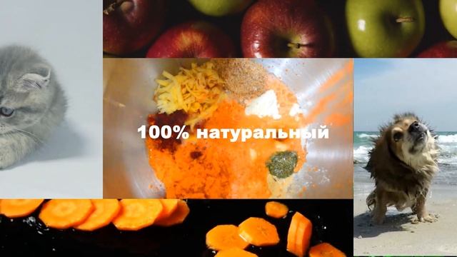 Натуральный сухой корм для кошек и собакСухой корм смотреть онлайн