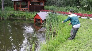 Ловлю большую рыбу в своем пруду!