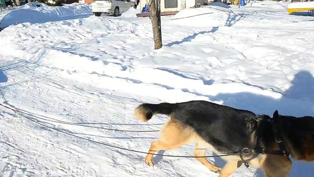 На базе отдыха Amigo Land смотреть онлайн