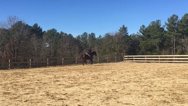 Lemon Tart 4 смотреть онлайн