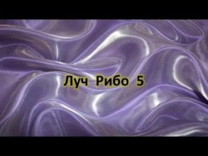 Учение Аркадия Петрова Древо Жизни Луч Рибо 5