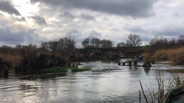 Сплав по реке Шерна. День третий. смотреть онлайн