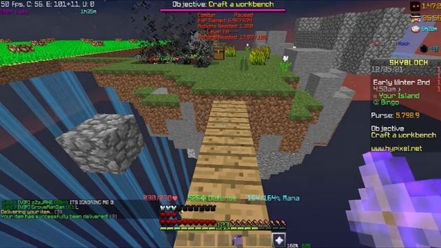 Bingo Completed (Hypixel Skyblock Ironman) смотреть онлайн