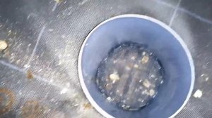 Вентиляция своими руками из канализационных труб. Часть 1. О сборке. Просто. Дёшево. Сердито.