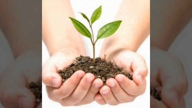 Херсонський ясла-садок #7. Вихователь Ольга Попутько. Легенда про калину. смотреть онлайн