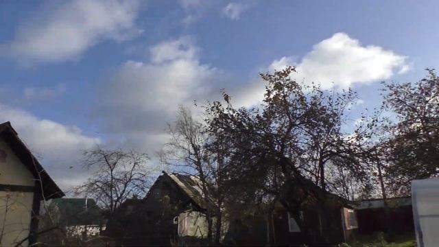 Чернохвостый бакинец так и не вернулся смотреть онлайн