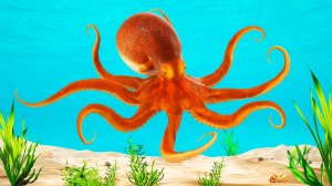 Животные для детей - морские обитатели, развивающие мультики для малышей.mp4