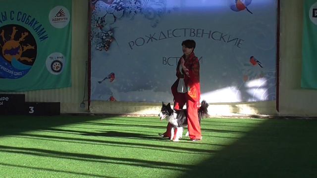 Жукова Елена х KISSES OF ANGEL SUNNY смотреть онлайн