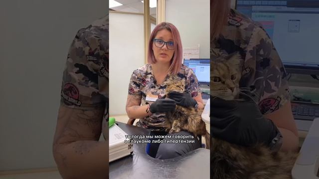 Аномалии глазного давления у животных // Офтальмолог