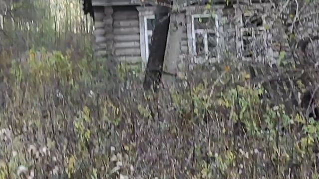 Богом Забытые и людьми деревни Нижегородской области❤деревня Ковыляй смотреть онлайн