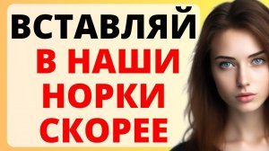 Две девушки залезли ко мне в палатку/ история из жизни