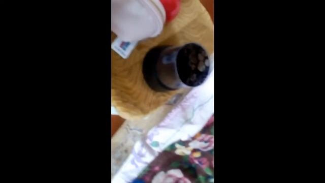 КОРОЧЕ ГОВОРЯ пижамная вечеринка смотреть онлайн