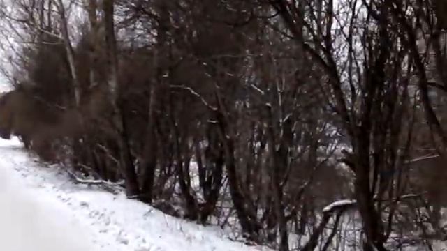 Смоленск, ул 25 Сентября 60 ТЦ Житомирвход 2 смотреть онлайн