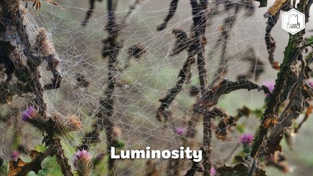 ? The Best Of GOVI【Part I】