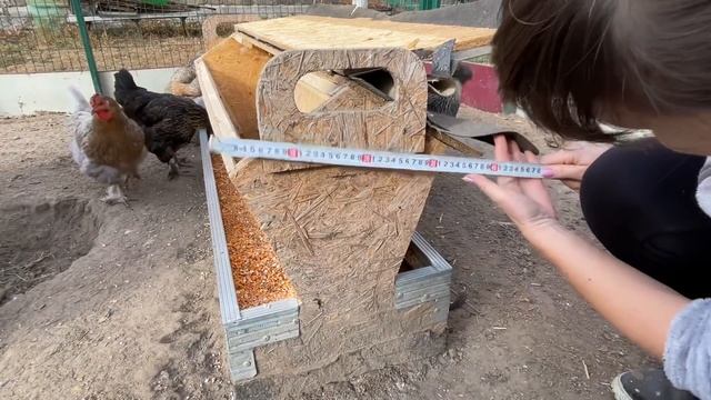 Все просят размеры моих всех бункерных кормушек для кур несушек смотреть онлайн