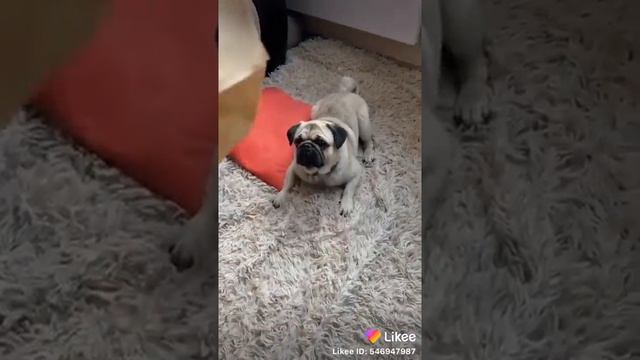 14 ноября 2020 г. смотреть онлайн