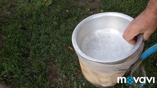 Вкусные рецепты с грибами