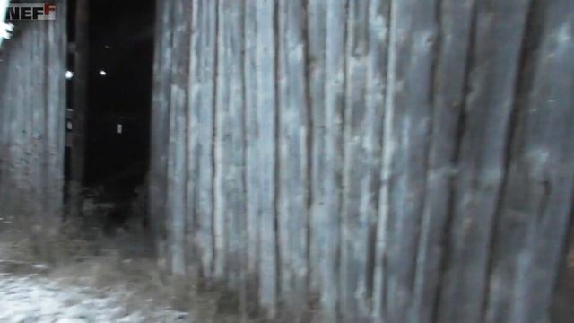 Старая амбарная доска, Ретро-доска для интерьера в стиле лофт, нашли старый зерноток ему 50 лет. смотреть онлайн