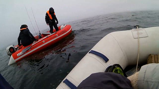 Осенний жор щуки как это бывает / Большая вода / Рыбалка в тумане с лодки смотреть онлайн
