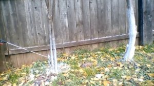 Побелка деревьев электрическим опрыскивателем ОЭ-10л-Н умница.