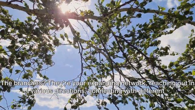 "The Business Networking & Apple Tree Analogy". Presented by Cliff Moore from the Brand of Me смотреть онлайн